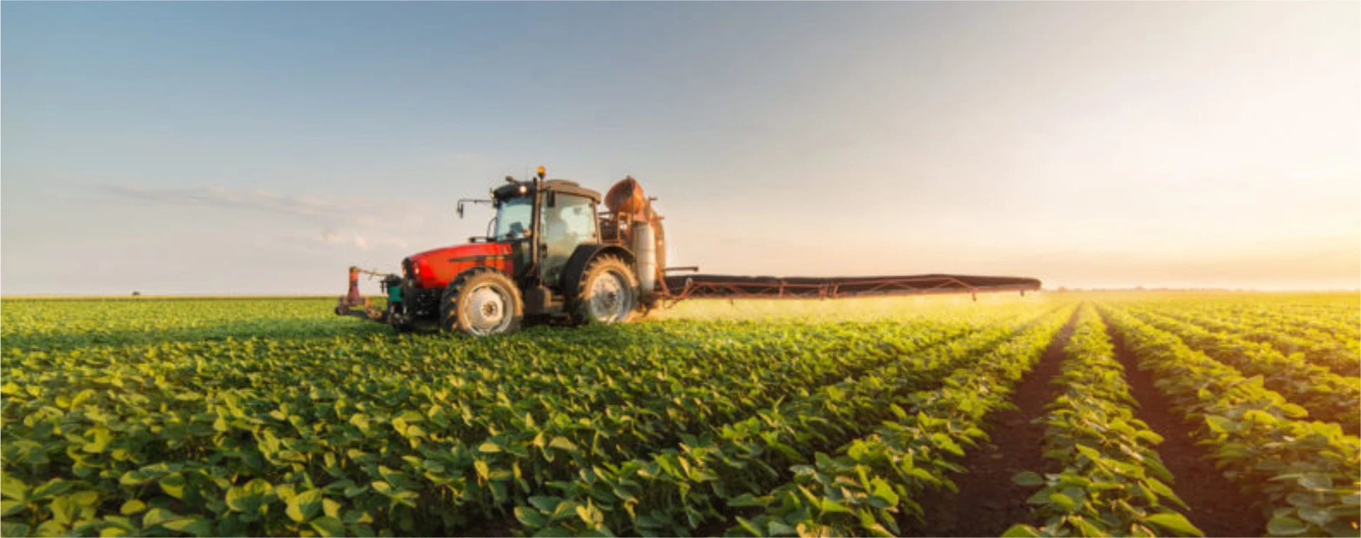 agricultura1