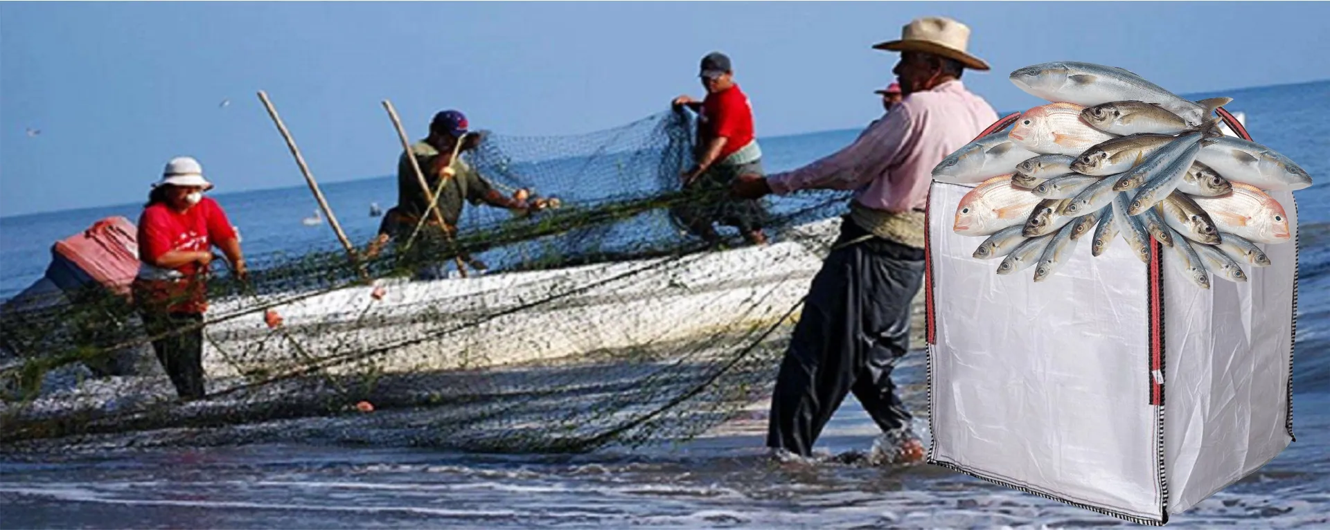 pesca1